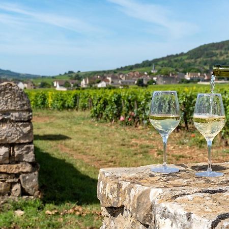 Charmante Maison Climatisee Avec Son Jardin A 10 Minutes De Dijon Марсанне-ла-Кот Екстер'єр фото